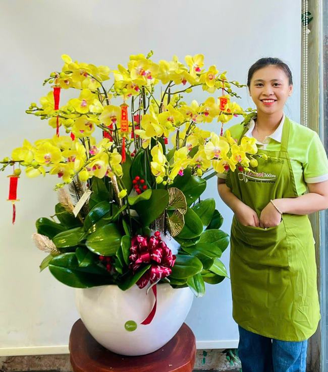 Hình ảnh hoa lan hồ đệp vàng đẹp nhất