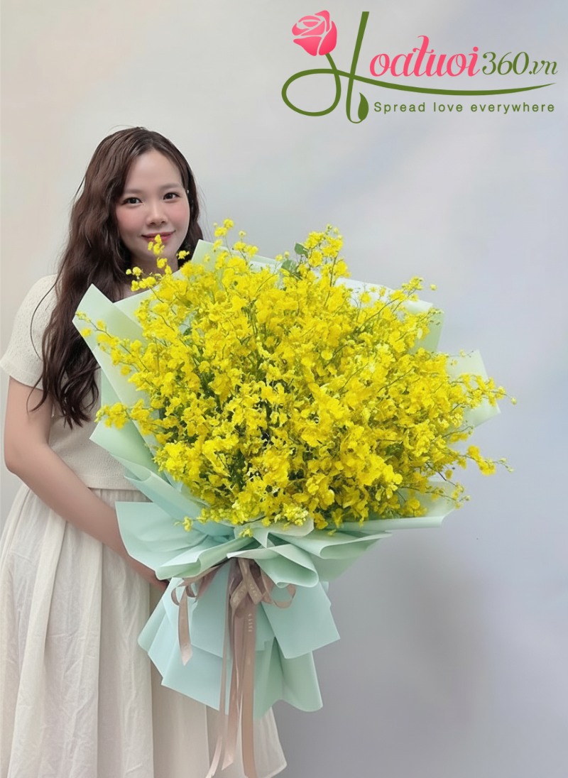 Hoa lan vũ nữ giá rẻ