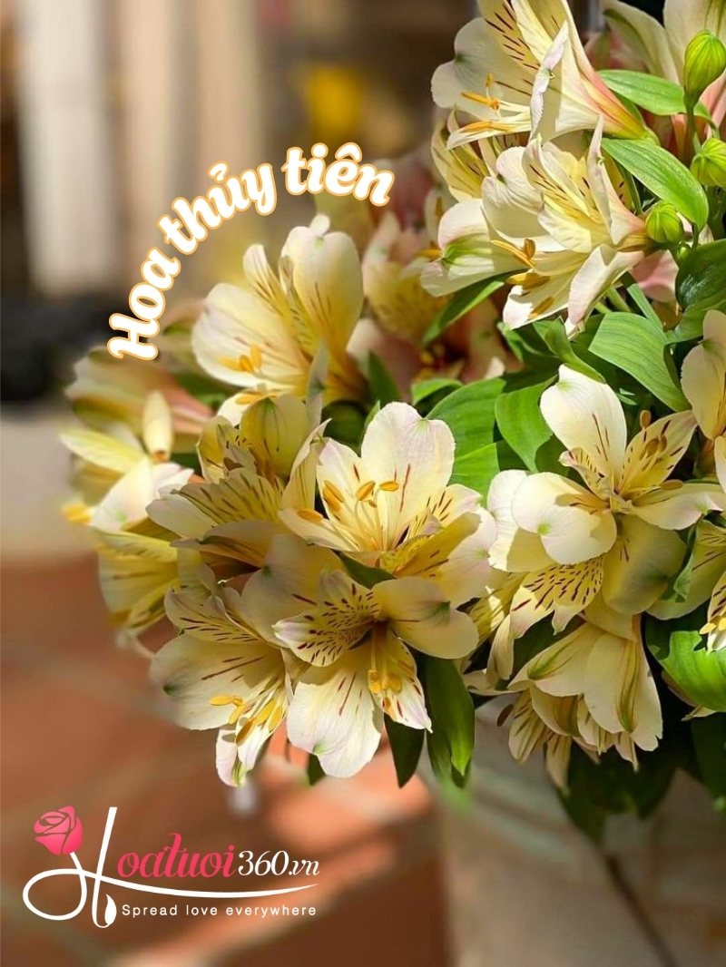 Hoa thủy tiên vàng