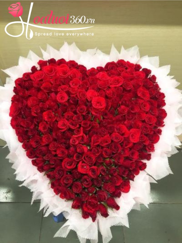 Hoa tình yêu - Trái tim băng giá