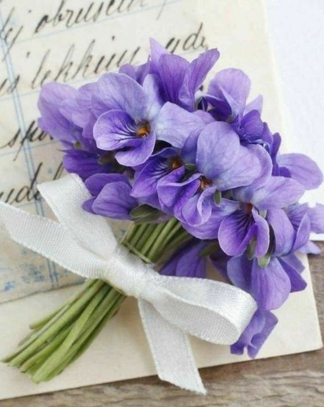 Hoa VIolet trong ngày cưới là lời hứa hẹn về một tình yêu hạnh phúc