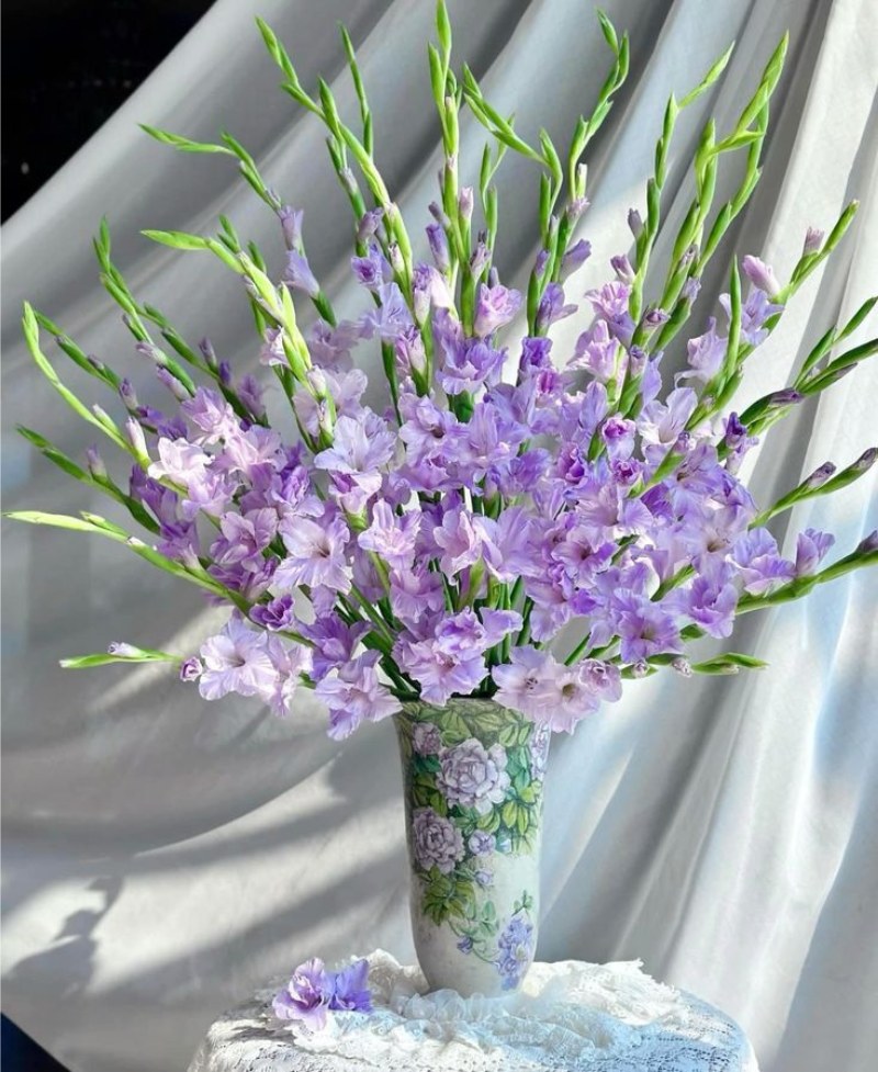 Cắm hoa lay ơn đơn giản tại nhà