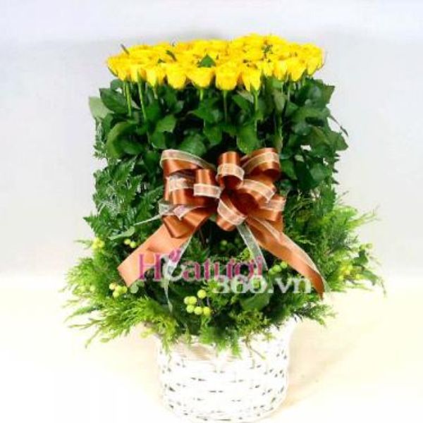 Hoa tình yêu - Tình yêu vĩnh cửu 1