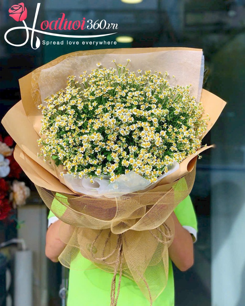 Ý nghĩa hoa cúc tana trong tình bạn