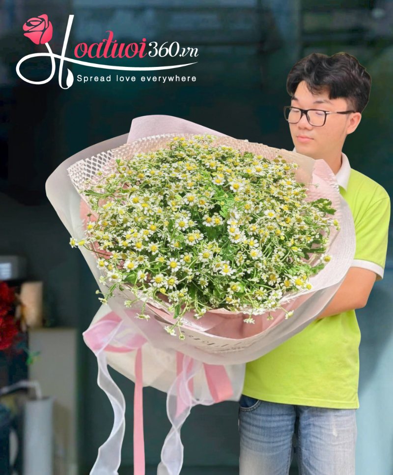 Ý nghĩa hoa cúc tana trong tình yêu