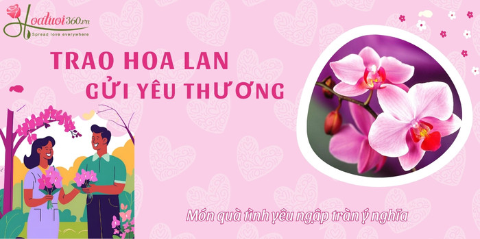 Ý nghĩa hoa lan trong tình yêu