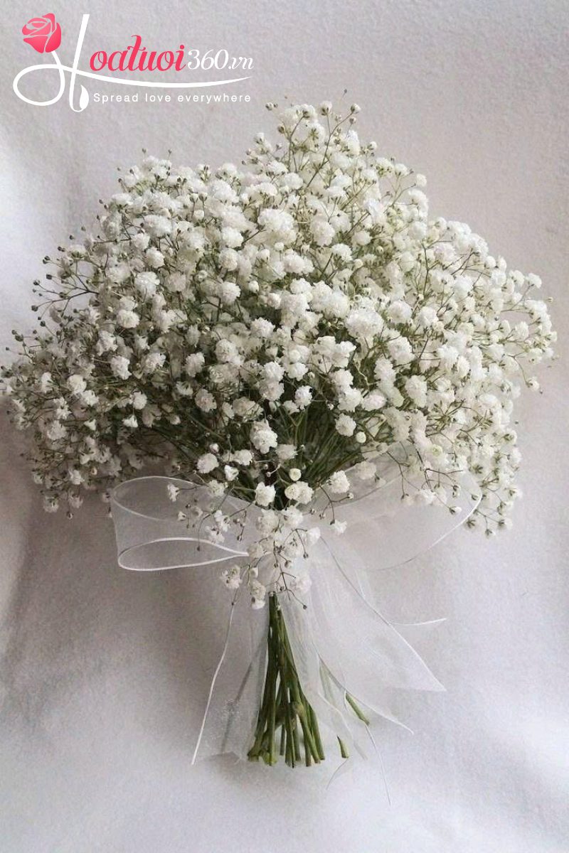 Bó hoa cưới baby trắng