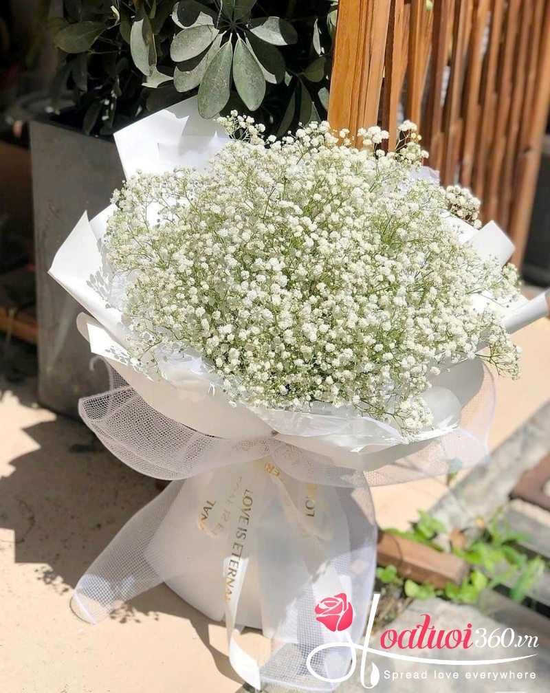 Bó hoa baby trắng khổng lồ