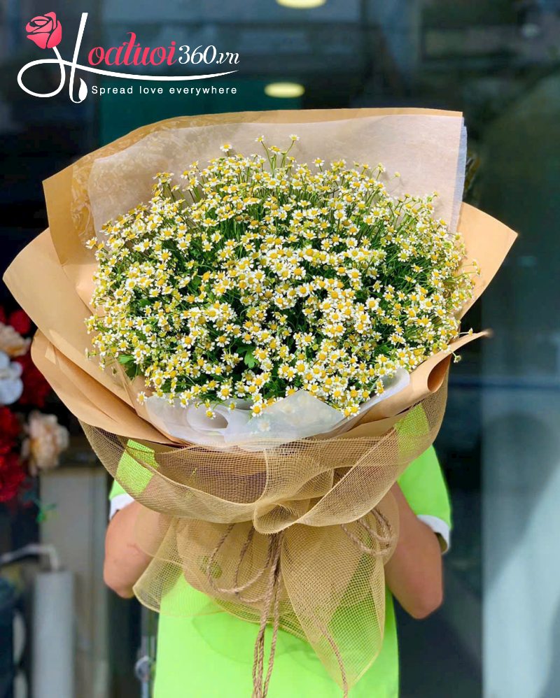 bó hoa cúc tana thả thính