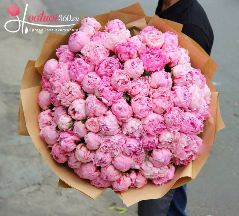 Bó hoa mẫu đơn hồng full hoa