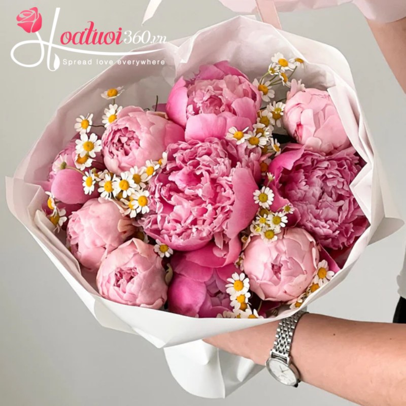 Mẫu đơn hồng mix cúc tana