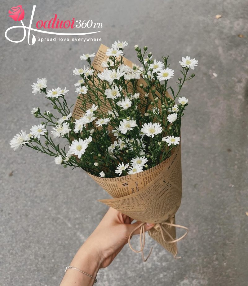 bó hoa thạch thảo trắng xin lỗi