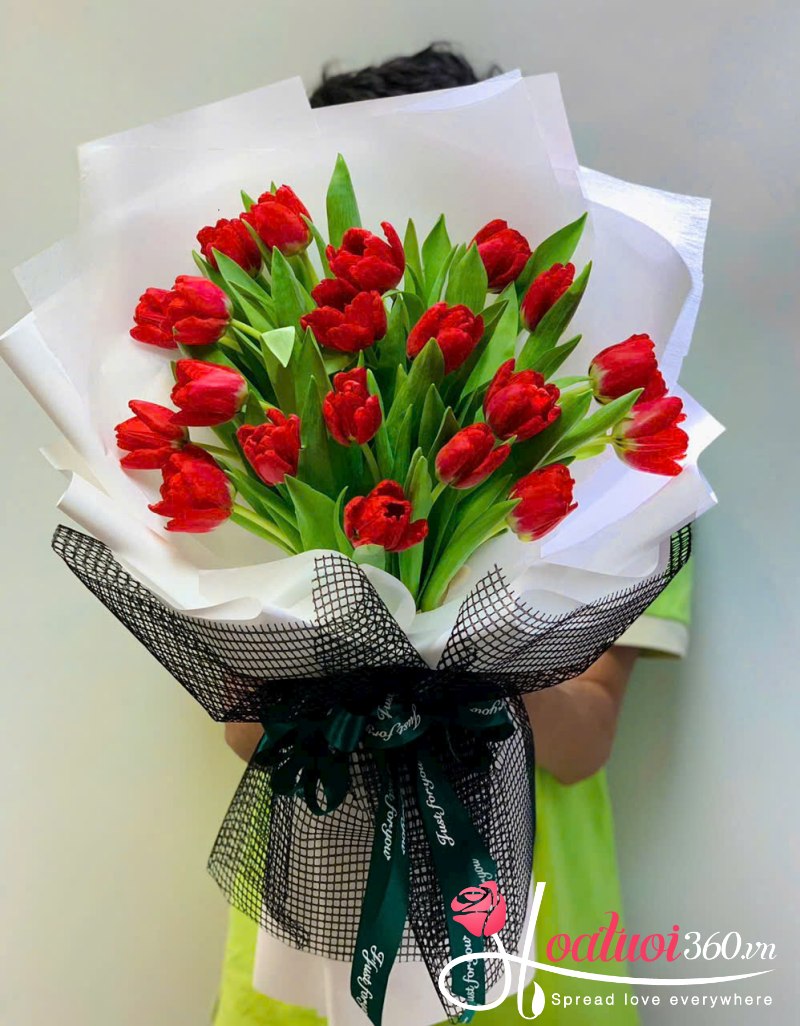 Bó hoa tulip đỏ