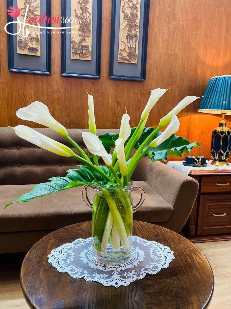 cách giữ hoa rum tươi lâu và nở theo ý muốn