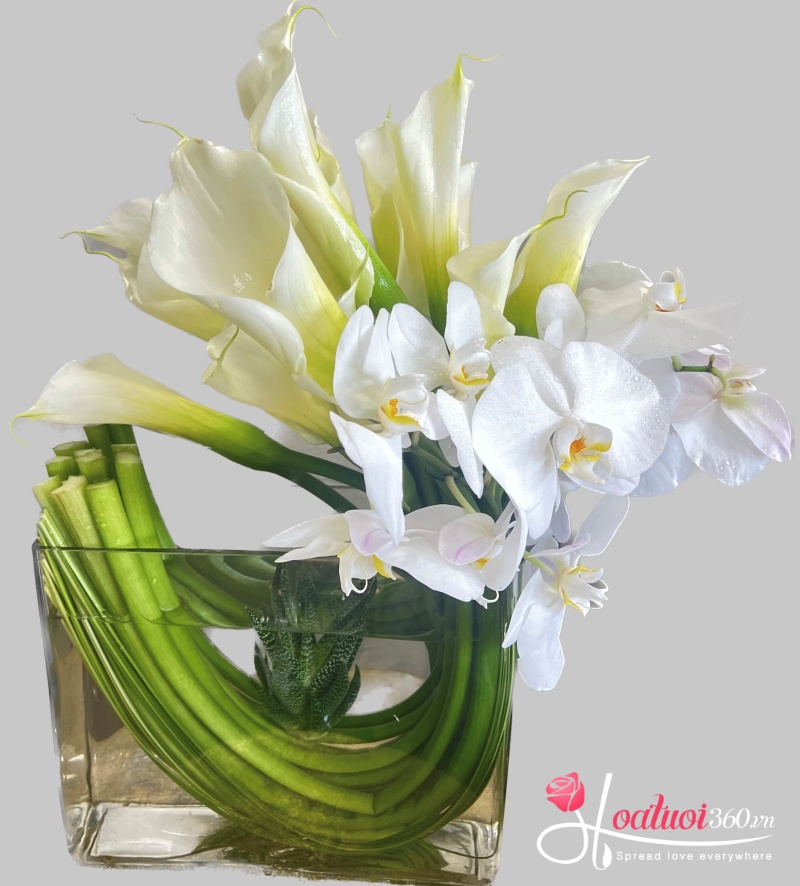 cách cắm hoa rum tươi lâu theo phong cách uốn lượn