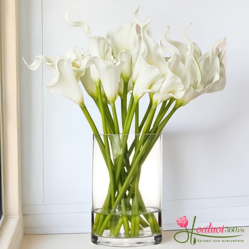 cách cắm hoa rum tươi lâu kiểu thả tự nhiên