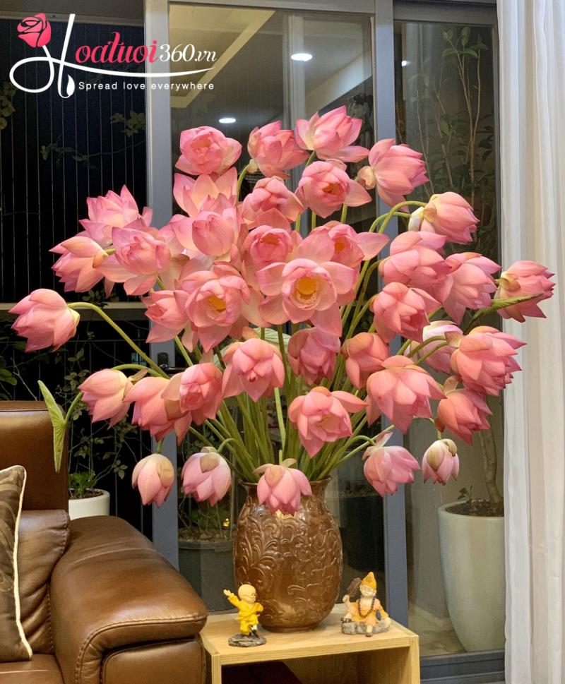 Cắm hoa sen dâng Phật xòe tròn trong bình thấp