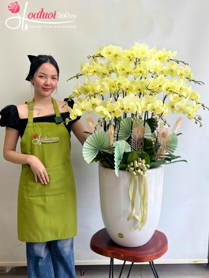 Chậu lan vàng khai trương Vươn Tới Thành Công