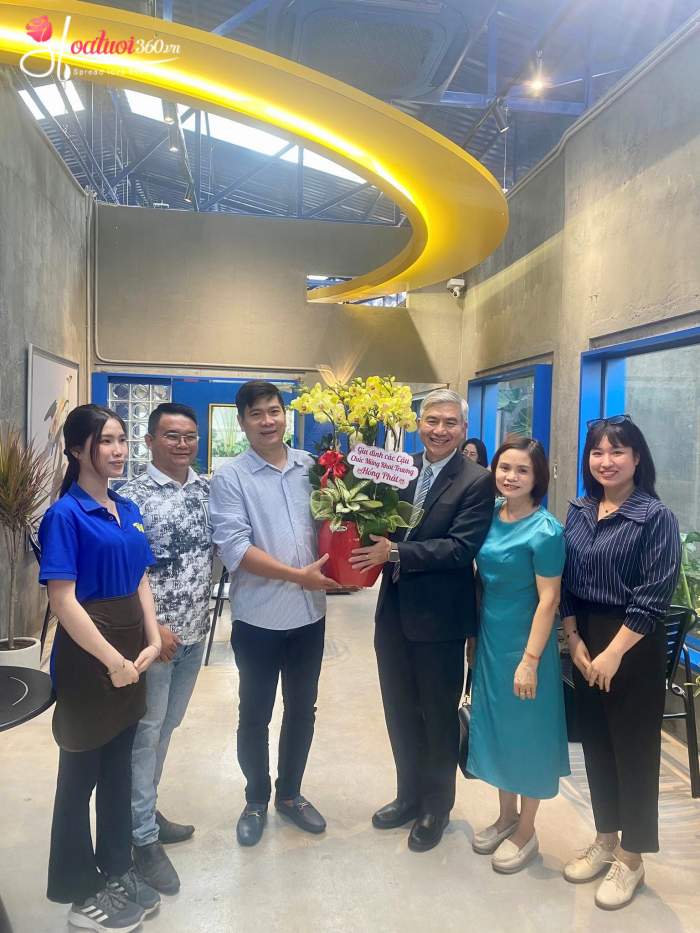 Chậu lan hồ điệp khai trương tiệm cà phê