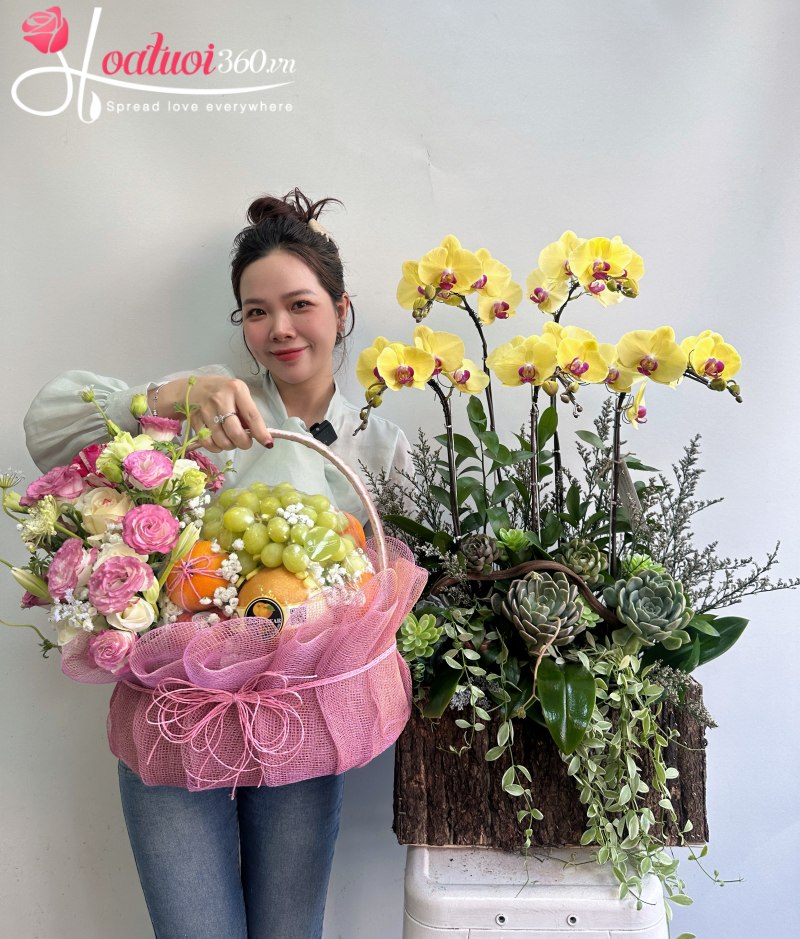 Combo lan hồ điệp và giỏ trái cây chúc mừng