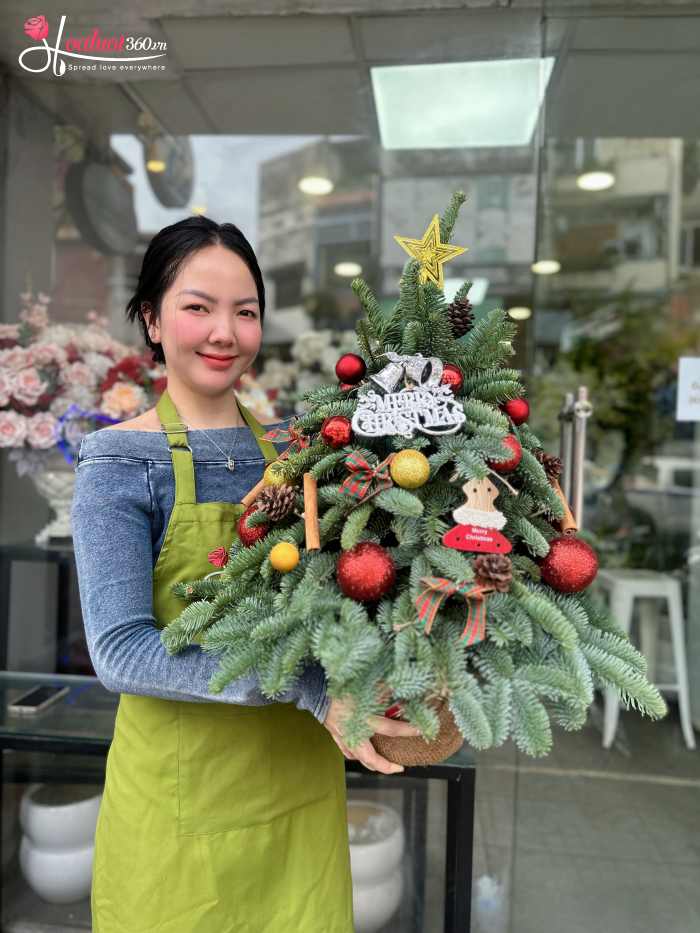 mẫu hoa giáng sinh tại shop hoa tươi phường Phú Nhuận TPHCM