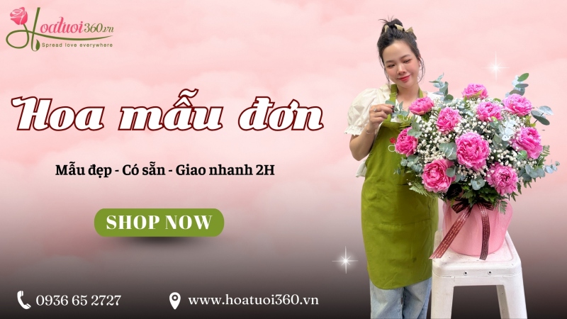 Địa chỉ mua hoa mẫu đơn tươi đẹp, chất lượng tại TPHCM