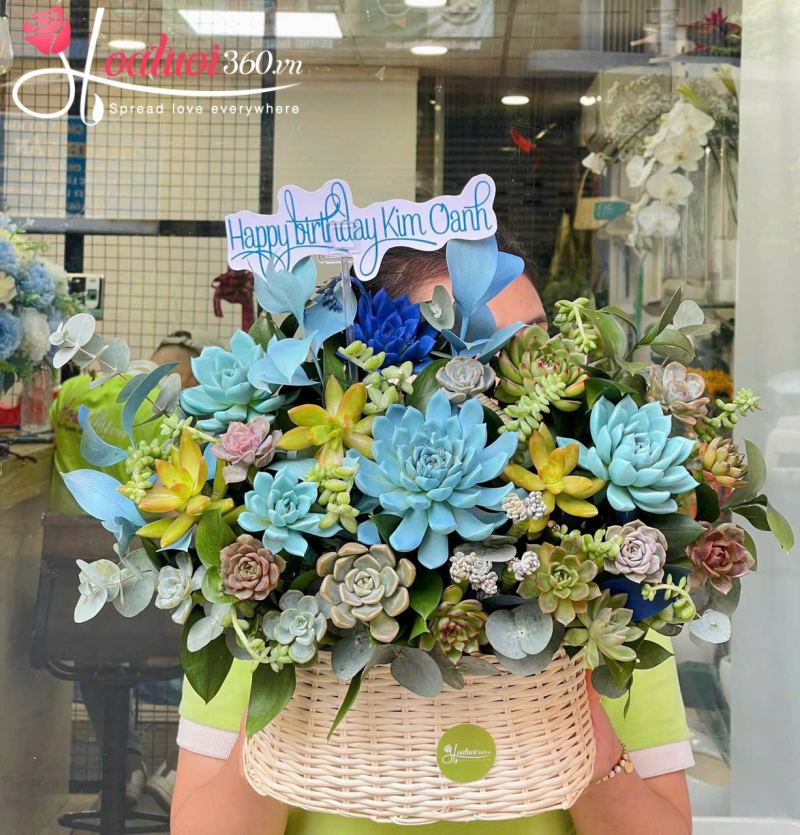 Giỏ sen đá chúc mừng