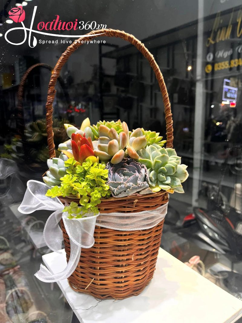 Giỏ hoa sen đá Thuận Buồm Xuôi Gió