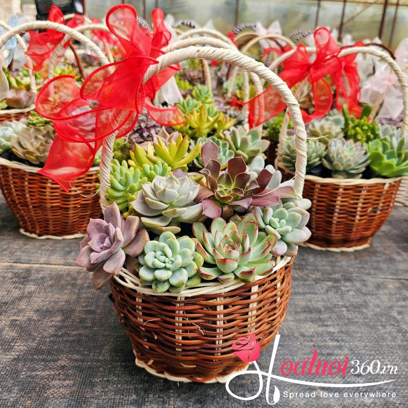 Giỏ sen đá Mùa Quả Ngọt