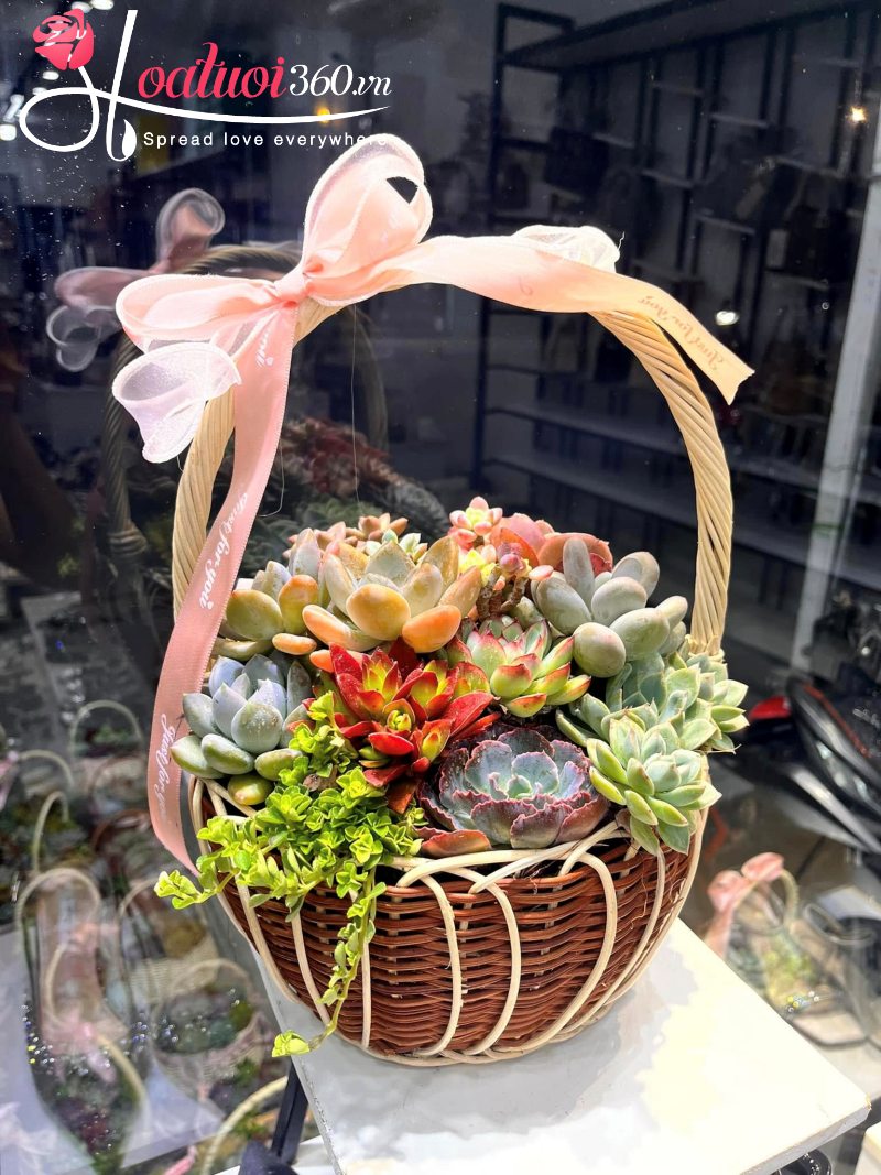 Giỏ hoa sen đá Nhiệt Huyết