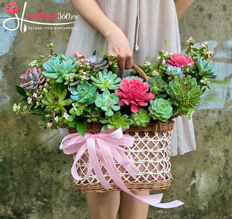 Giỏ hoa sen đá Khởi Nguồn Tương Lai