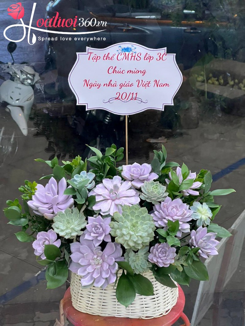 Giỏ sen đá Vươn Tầm Đẳng Cấp