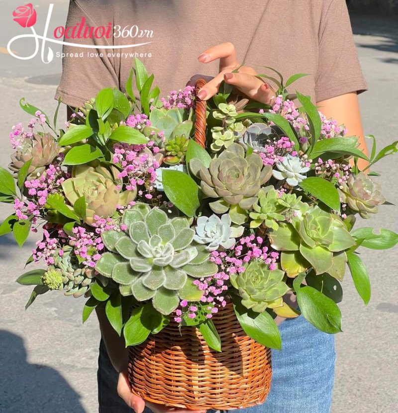 Giỏ sen đá Dấu Ấn Thành Công