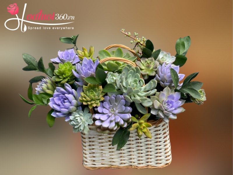 Giỏ sen đá Ngày Em Đến