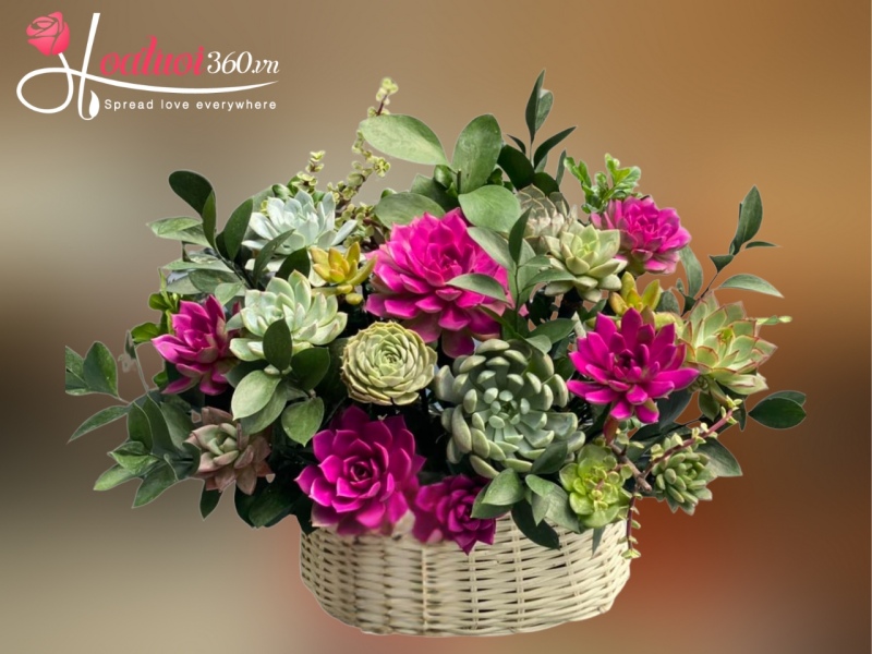 Giỏ sen đá Sắc Màu Rực Rỡ