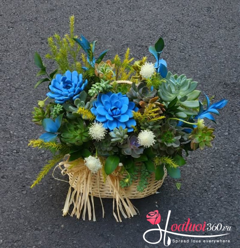 Giỏ sen đá Viên Ngọc Quý