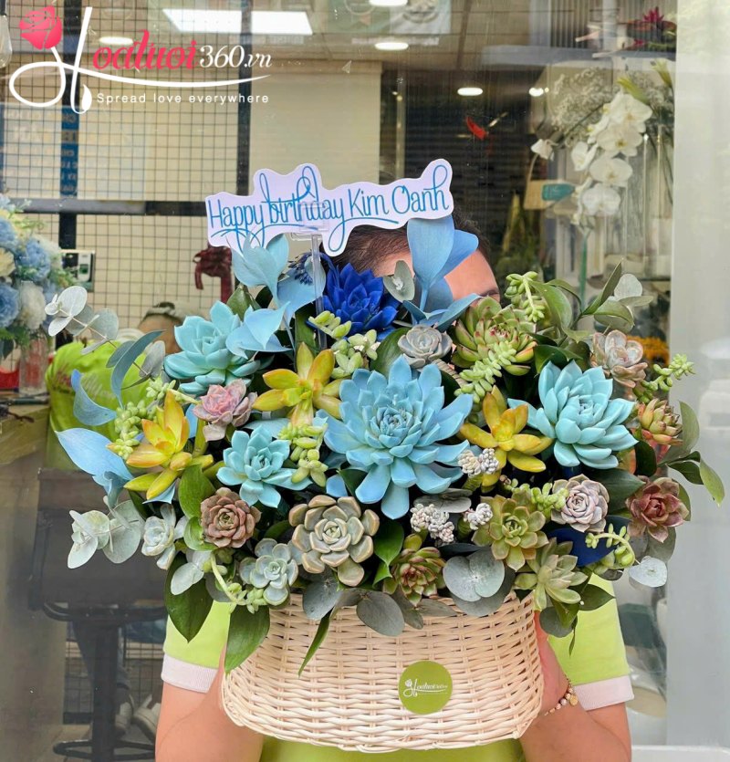 Giỏ hoa sen đá Just For You