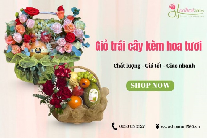 Địa chỉ cung cấp giỏ trái cây kèm hoa tươi