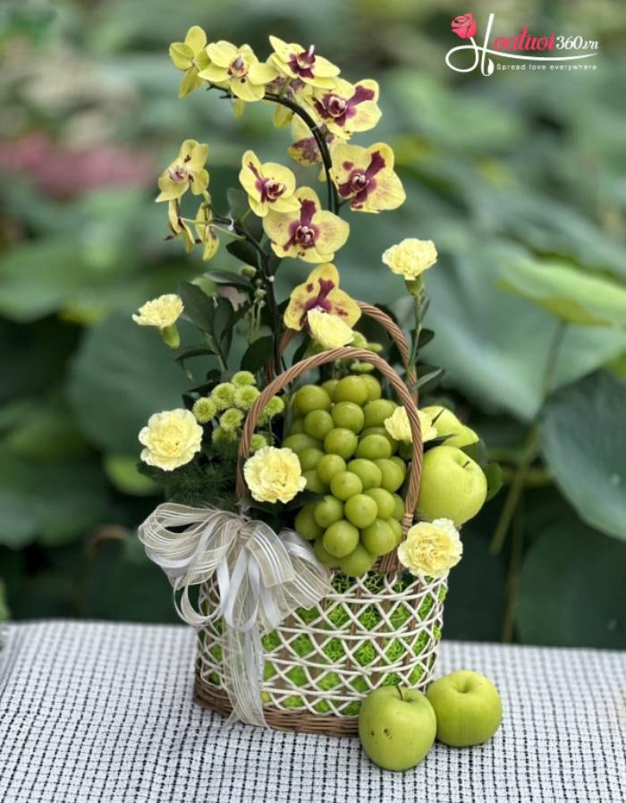 Giỏ trái cây phối lan hồ điệp vàng biếu sếp
