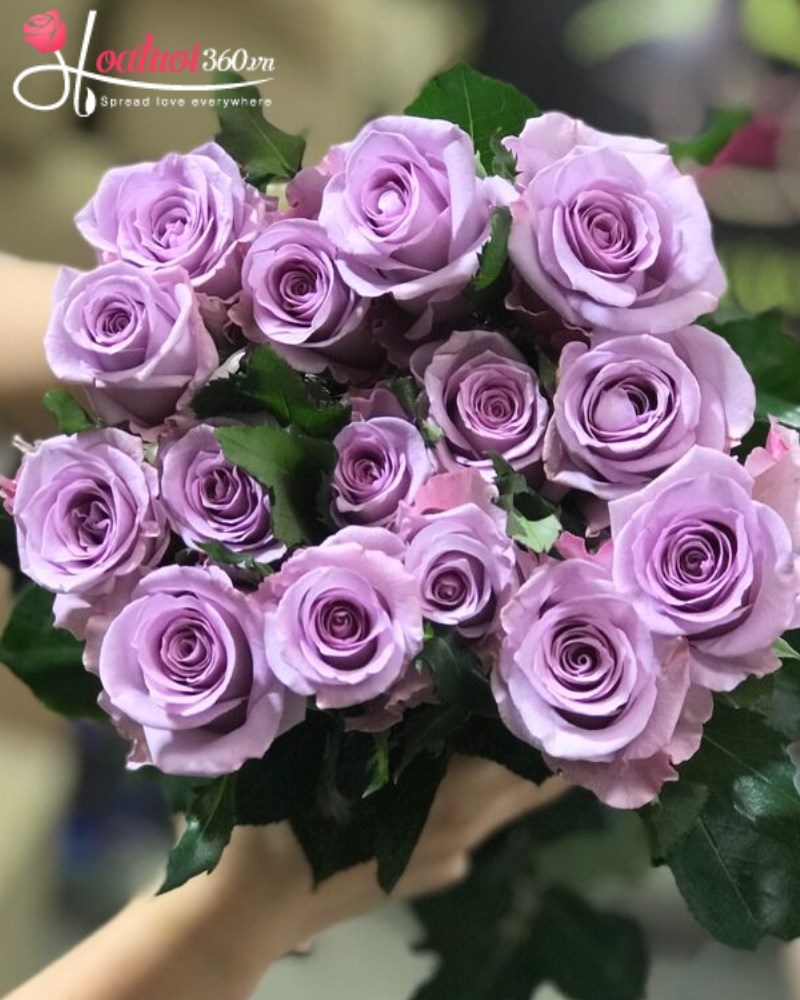 Ý nghĩa số lượng hoa hồng tím khi tặng người yêu