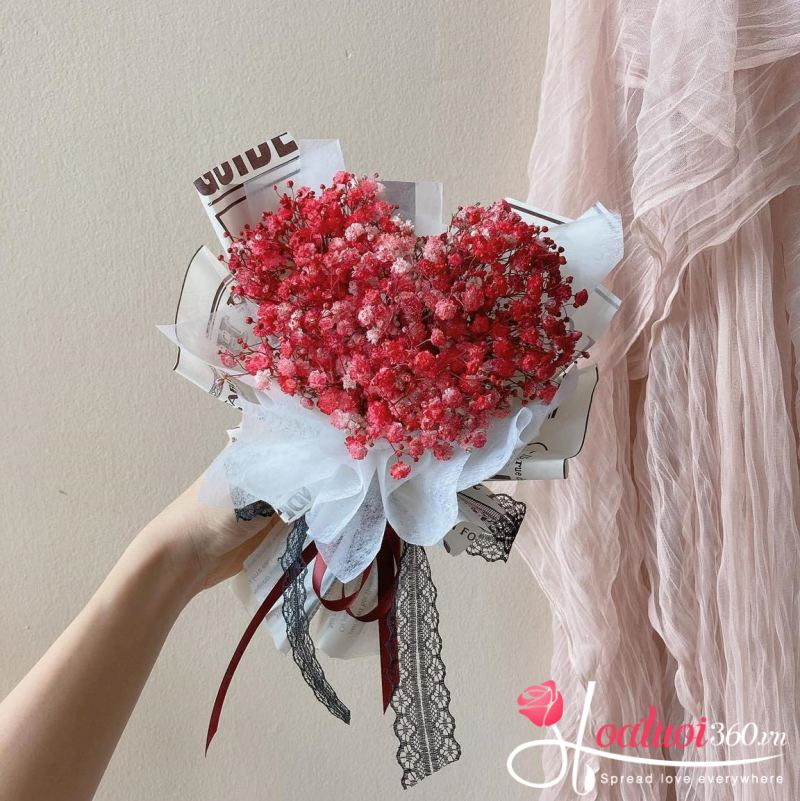 Hình ảnh hoa baby đỏ