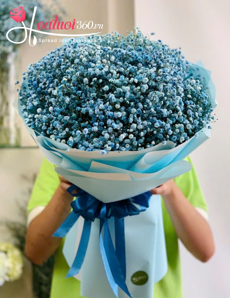 Hình ảnh hoa baby xanh dương