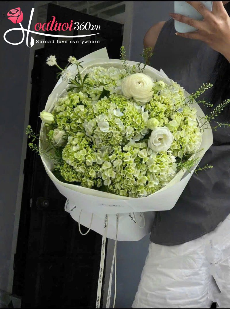 Hoa cẩm tú cầu - Tình yêu chân thành