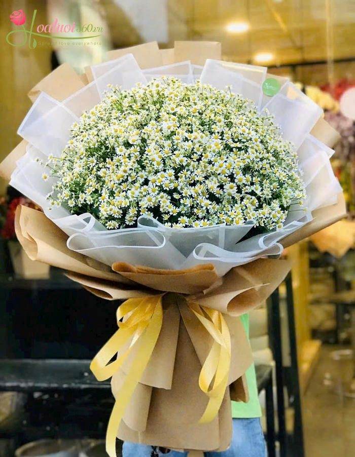 Bó hoa cúc tana mừng lễ tốt nghiệp