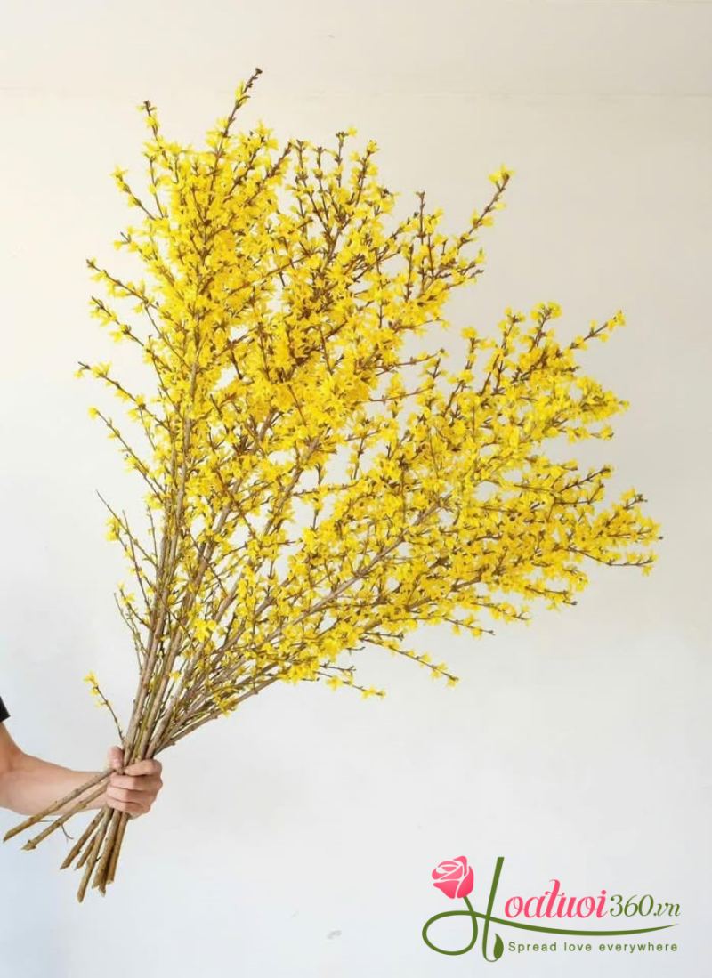 Cành mai trang trí Tết