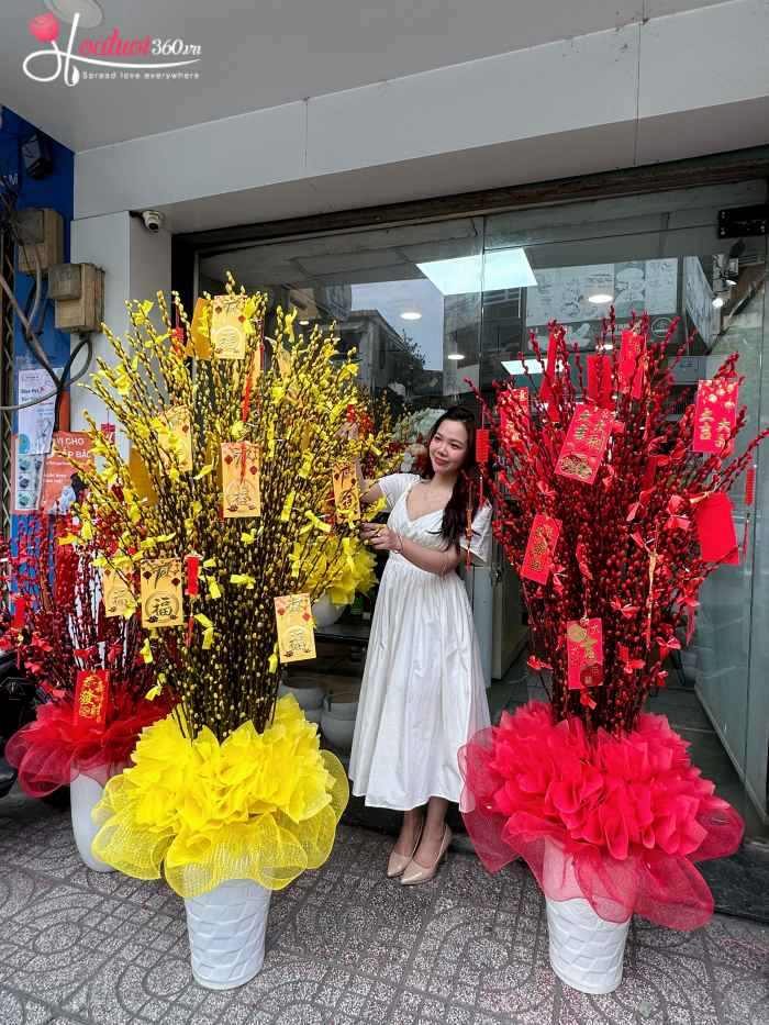 Bình nụ tầm xuân Tết phường Tân Sơn Hoà TPHCM