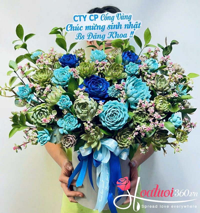 Lẵng hoa sen đá chúc mừng