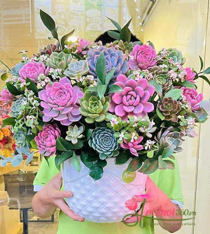 Mẫu hoa sen đá khai trương tặng doanh nghiệp theo hướng bền vững