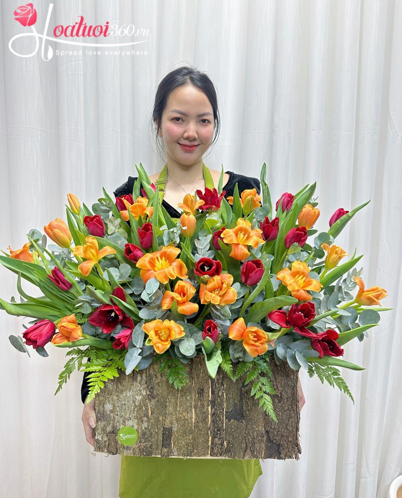 lăng xhoa tulip đỏ cam