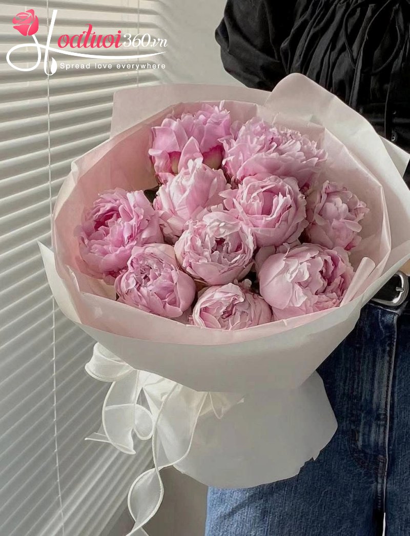 Hoa mẫu đơn - loài hoa may mắn